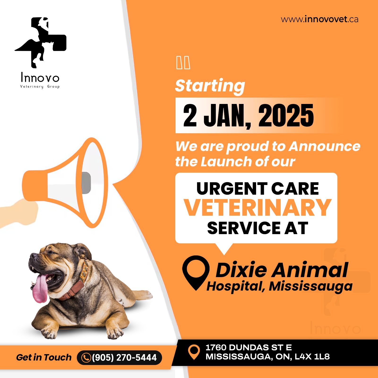 Urgent Care Veterinary Services at Dixie Animal Hospital in Mississauga!