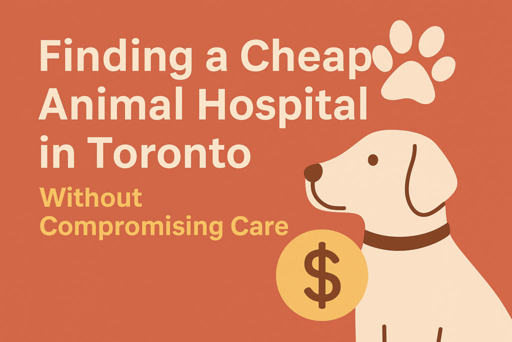 Finding a Cheap Animal Hospital in Toronto Without Compromising Care - Innovo Veterinary Group Finding a Cheap Animal Hospital in Toronto Without Compromising Care - Innovo Veterinary Group