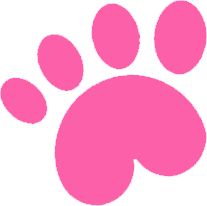 O’Connor Veterinary Clinic - Innovo Veterinary Group O’Connor Veterinary Clinic - Innovo Veterinary Group