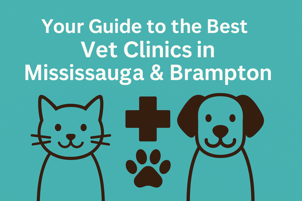 Your Guide to the Best Vet Clinics in Mississauga & Brampton - Innovo Veterinary Group