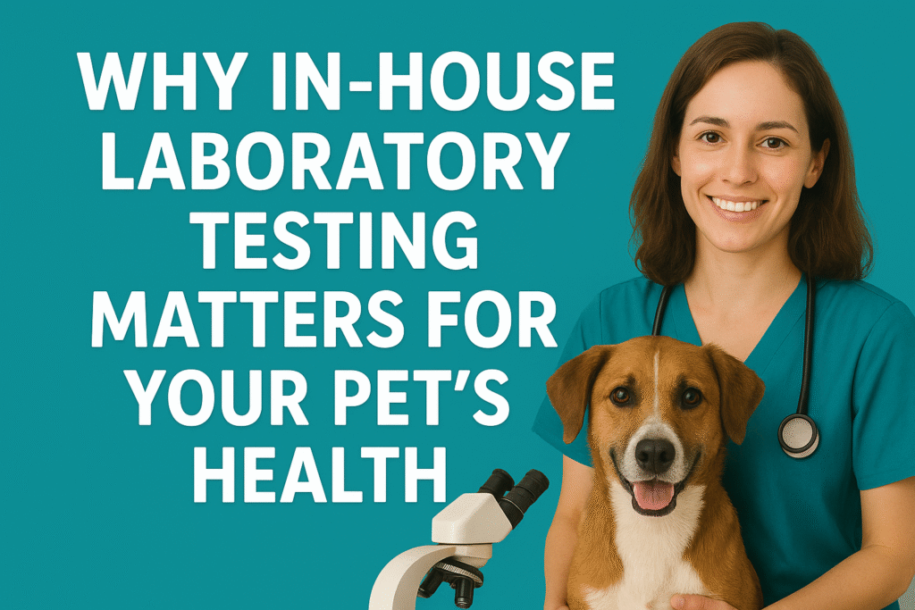 Why In-House Laboratory Testing Matters for Your Pet’s Health - Innovo Vet Group
