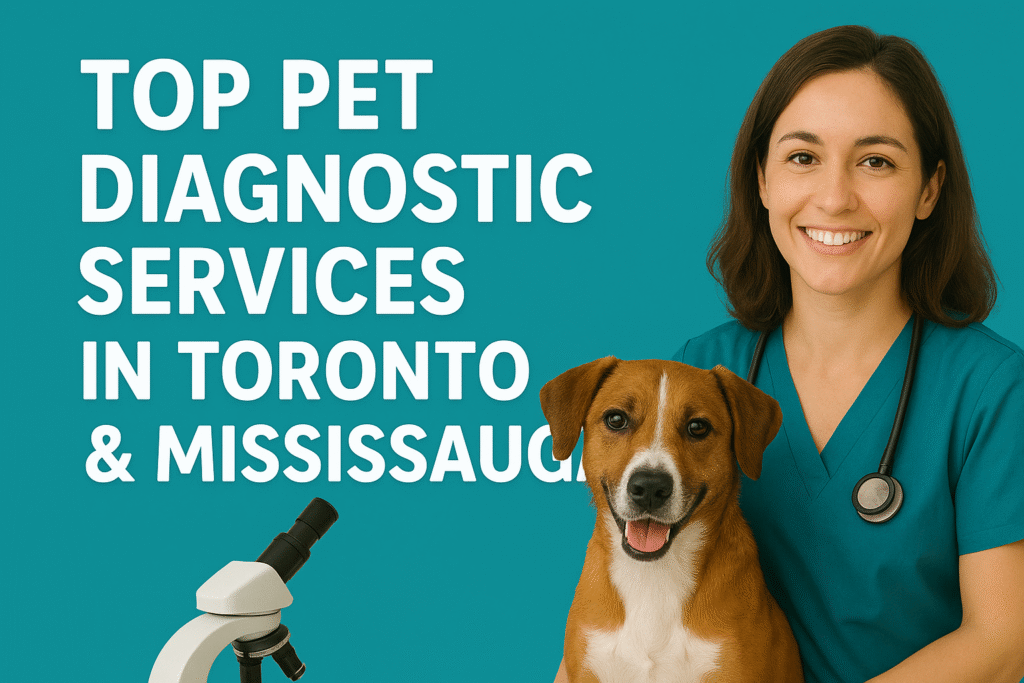 Top Pet Diagnostic Services in Toronto & Mississauga - Innovo Vet Group